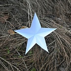 Отзывы, которые двигают выдачу: как репутация формирует результаты поисковиков и ИИ