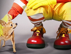 Маскоты в SMM: кто это и зачем они нужны