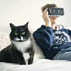 PICONSULT продемонстрировало свои AR/VR-разработки для брендов 
