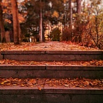 Вы точно ничего не пропустили