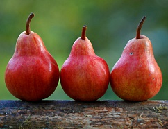 3 основных принципа копирайтинга