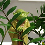 Наставничество, которое работает: как развивать и удерживать сотрудников