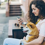 В App Store снова добавили приложение от Сбера «Бюджет онлайн»