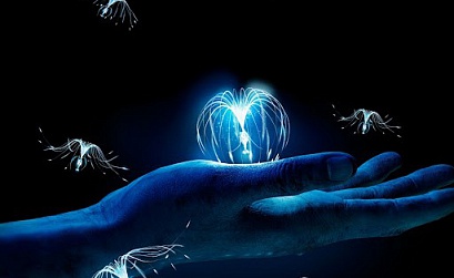 Где найти идею для мощного лид-магнита