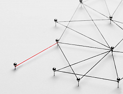 Интеграция сервисов «Телфин» и CURS24 повышает качество бизнес-коммуникаций