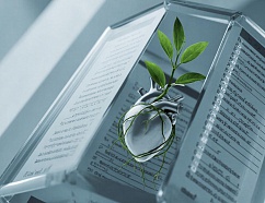 Что такое современная социальная реклама и какая у нее юридическая основа