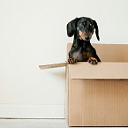 Ozon поднимает комиссии для продавцов на фоне снижения тарифов на логистику