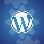 В WordPress появится автоматическое обновление тем и плагинов