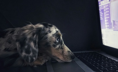 В первом полугодии 2025 года Почта Mail заблокировала более 13,7 млрд спам-писем