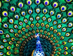 Post-view и post-click-конверсии: влияние медийной рекламы на перфоманс-метрики