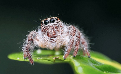 20 детских ошибок в SEO