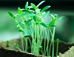 Кейс: как создать лендинг с конверсией 10%