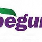 YouTube, Gmail и Blogspot вошли в премиум-сеть «Бегуна»