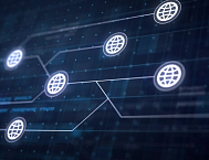 Закон об ограничении иностранных слов изменил рынок брендинга: кириллица впервые за три года обогнала латиницу