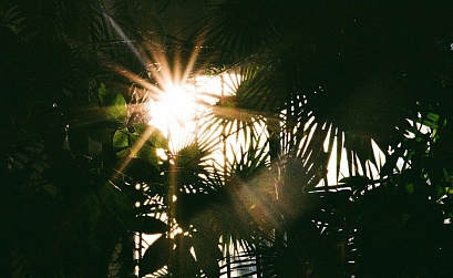 VK представила ИИ-сервис для маркетологов – AI Persona