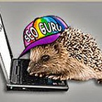 Стране нужны SEO-шники!