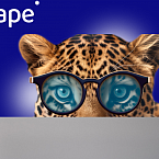 Покупайте ссылки на лучших сайтах-донорах с новым функционалом «Избранного» в LinksSape