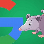Google обновил алгоритм «Опоссум»