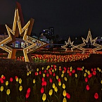 Яндекс Маркет запускает автоучастие в бестселлерах