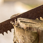 Выпилить конкурентов: как продвинуть небольшой сайт ленточных пил