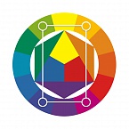 Цветовой круг Иттена: что это такое и как им пользоваться