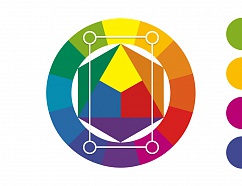 Цветовой круг Иттена: что это такое и как им пользоваться