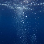 DeepSeek выпустит новую модель ИИ DeepSeek V4