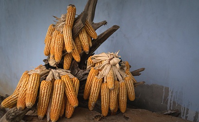 Вклад Рунета в российскую экономику составил 3,9 трлн рублей в 2018 году