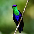 Российские сайты начали удалять информацию о VPN-сервисах