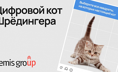 Цифровой кот Шредингера