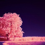 Вы точно ничего не пропустили