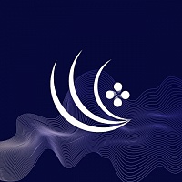 Волга-IT