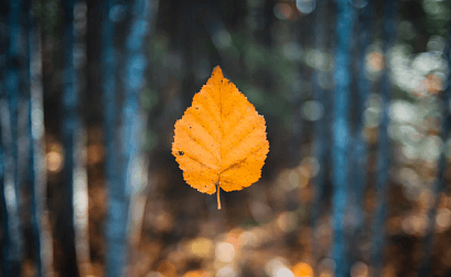 РИФ-Воронеж 2018: Управление подрядчиком по SEO