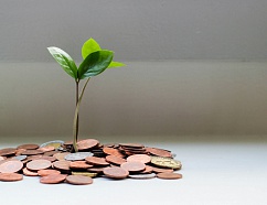 Как заработать на SEO в 2025 году: 12 эффективных стратегий