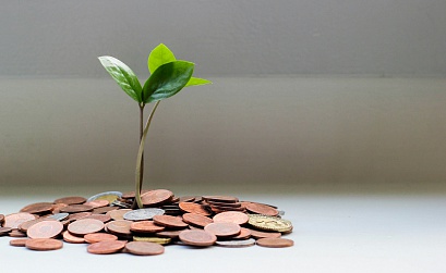 Как заработать на SEO в 2025 году: 12 эффективных стратегий