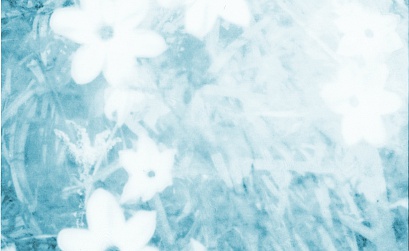 Google отложил переход на mobile-first индексацию до марта 2021 года