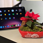 Выручка приложений российских e-commerce брендов выросла на 57%. Исследование AppMetrica