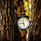 Среднее время посещения YouTube в России сократилось с 52 до 38 минут