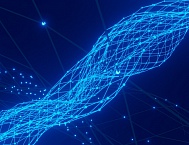 Количество онлайн-заказов увеличилось на 24%. Исследование Data Insight