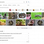 Google обновил блок с картинками в декстопной выдаче