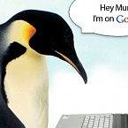Google завершил запуск Penguin 4.0